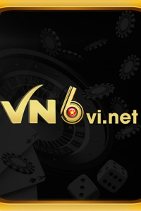 vn6vinet