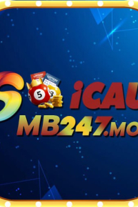 soicaumb247mobi