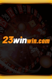 winwincom23