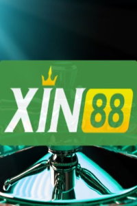 Xin88xyz