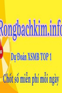 rongbachkiminfo1