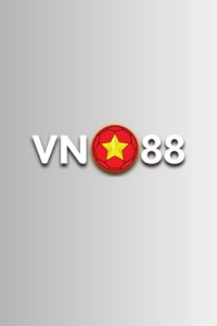 vn88sorg