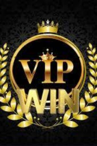 vipwin789com