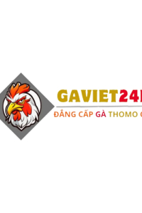 gaviet24h