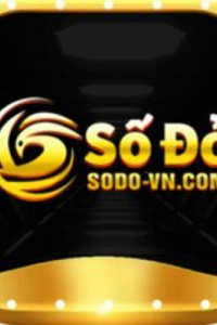 sodo66llc