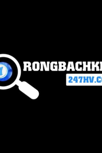 rongbachkim247hv