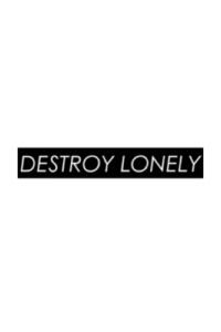 destroylone