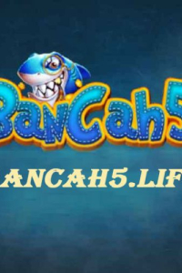 bancah5life