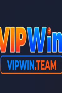 vipwinteam