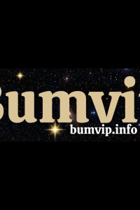 bumvipinfo