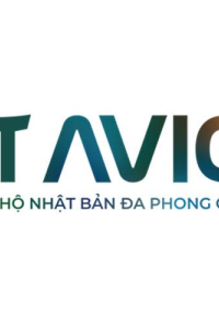 aviobinhduong