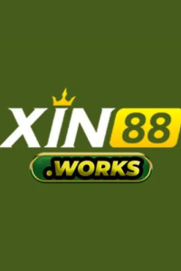 xin88works