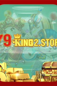 z79king2store