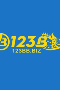 bbcam123