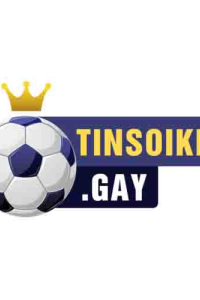 tinsoikeogay