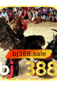 bj388sale