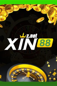 xin88znet