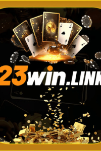 winlink23