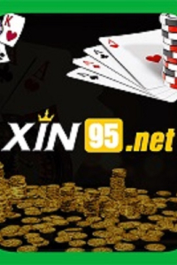 xin95net