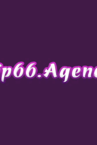 vip66agency