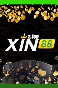 xin88ztop