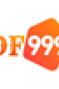 df999nl