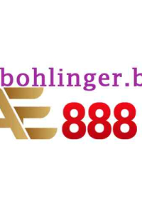 bohlingerbiz
