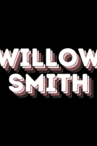 willowsmithstore