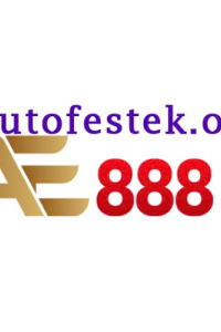 autofestekorg