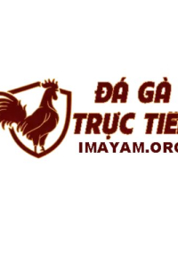 imayamorg