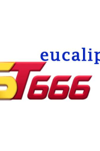 st666eucalipto