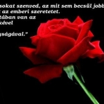 roze.jpg