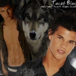 jacob-black-wolf.jpg