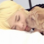 gd and gaho