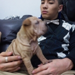 TaeYang and GaHo