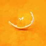 orange02.jpg