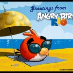 angry-birds-rio-beach-volleyball.jpg