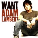 adam-lambert-want.jpg