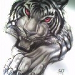 vérszomlyas tigris.jpg