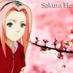 sakura3.jpg