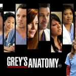 Grey-s-Anatomy-greys-anatomy-1663492-1024-768.jpg