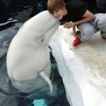 delfin+justin.jpg