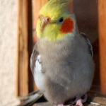176.jpg