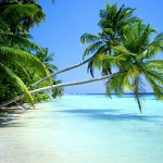 tengerpart Mald�v-szigetek 01  440x300.jpg