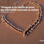 16661_805650494_big.jpg