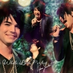 So-kute-X-adam-lambert-8132163-494-344.jpg