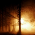 alkony-wide-001.jpg