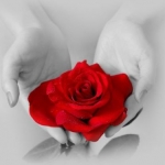 love5.jpg