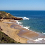 izzi-bells-beach2.jpg