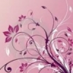 1240191292869892.jpg